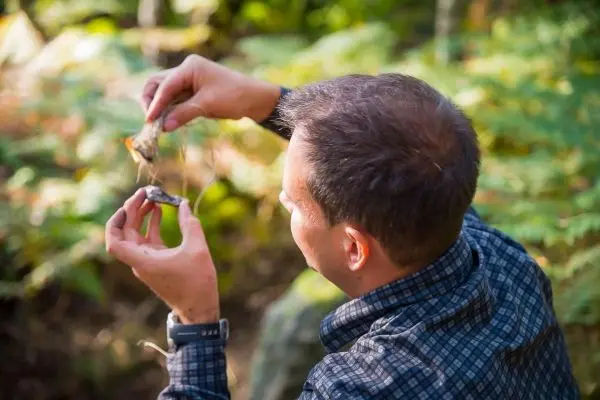 Mann hält zwei Steine in den Händen und untersucht sie im Wald