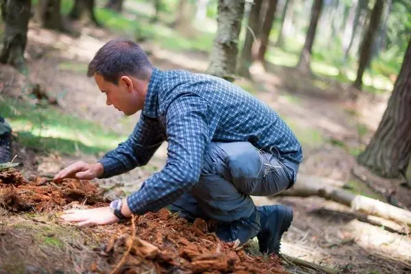 Mann untersucht den Boden im Wald auf Zunder oder nützliche Materialien