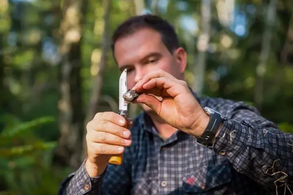 Messer schneidet ein Stück Holz im Wald