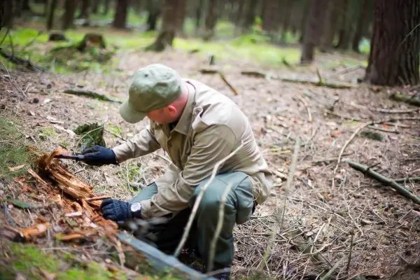 Person untersucht Holzstück im Wald