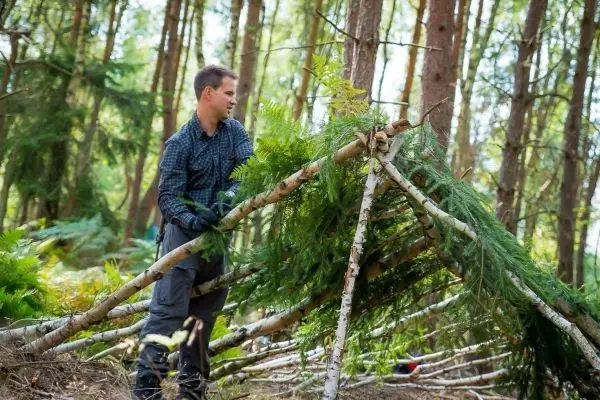Selbstgebaute Notunterkunft aus Ästen und Zweigen wird mit Grünzeug bedeckt