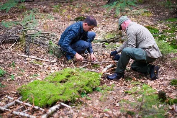 Zwei Personen bauen eine improvisierte Trage aus Ästen und Moos im Wald