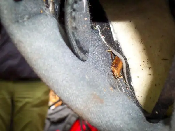 Ein Stück Holz liegt in einer Tasche eines Rucksacks