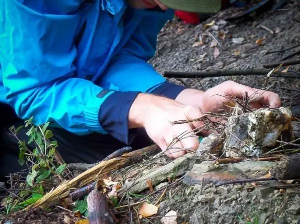 Hände bereiten Zunder aus trockenen Ästen und Rinde vor