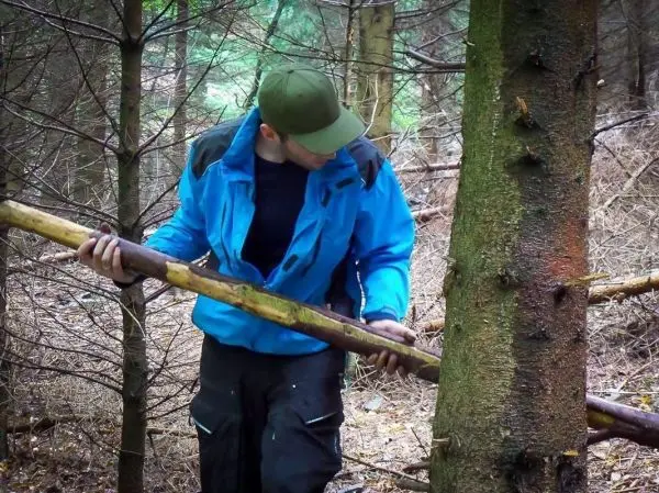 Holzstück wird zwischen zwei Bäumen positioniert