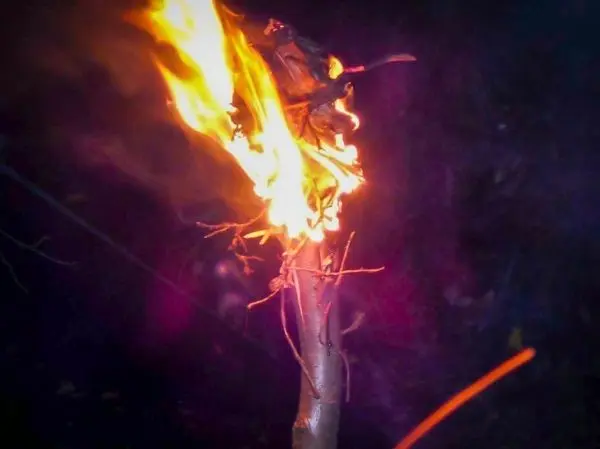 Kleine Flamme brennt an einem Holzstock mit Zunder