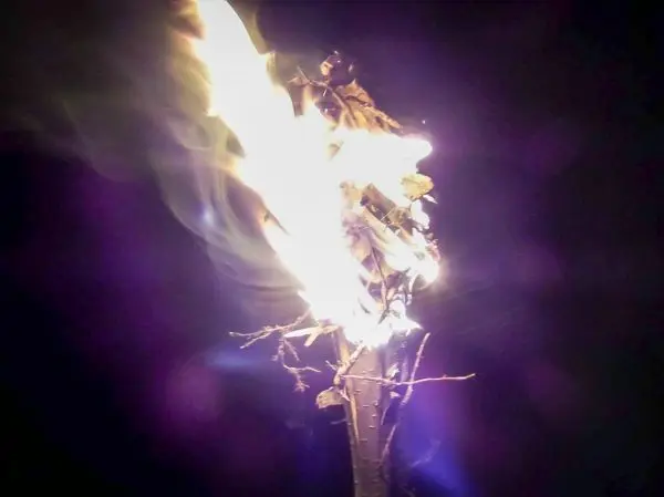 Kleine Flamme brennt auf einem Holzstock mit Zunder