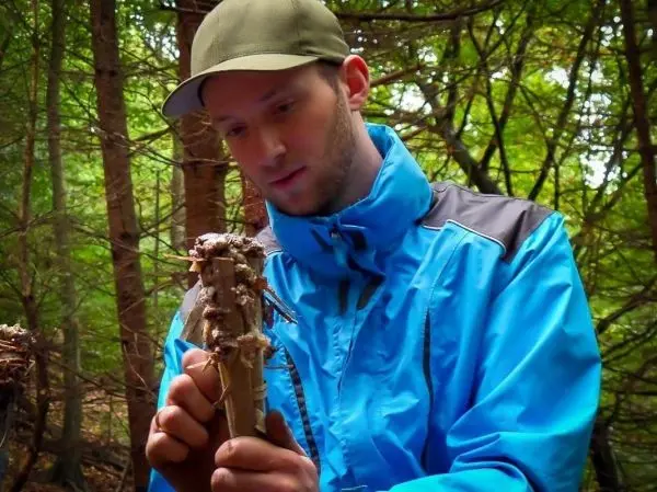 Mann hält einen Stock mit Zunder in der Hand und betrachtet ihn aufmerksam