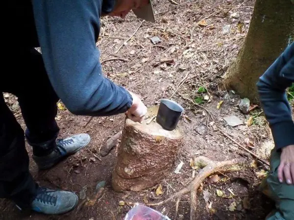 Person bereitet einen Kocher auf einem Baumstumpf vor