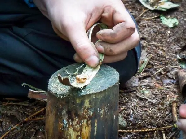 Person schält Rinde von einem Holzstück beim Überlebenstraining