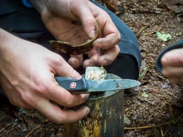 Person schneidet mit einem Messer Holzstück auf einem Baumstumpf