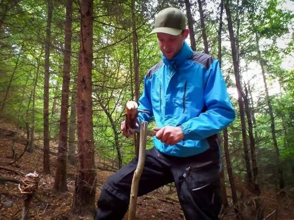 Person schnitzt mit einem Messer an einem Stock im Wald