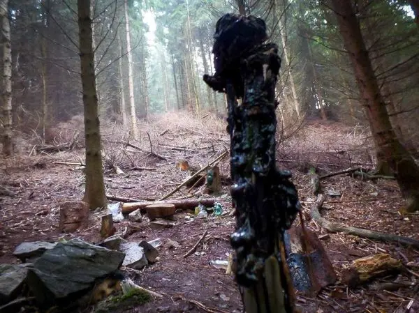 Schwarzer, verkohlter Stock steht im Vordergrund, im Hintergrund Wald und Holzreste
