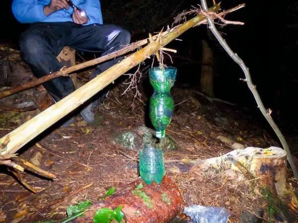 Selbstgebaute Wasserfilterkonstruktion aus Plastikflaschen und Holzstücken