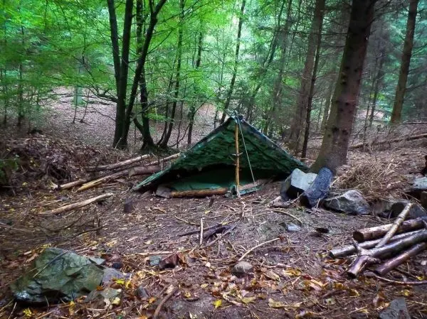Tarp-Notunterkunft aus Ästen und Plane im Wald aufgebaut