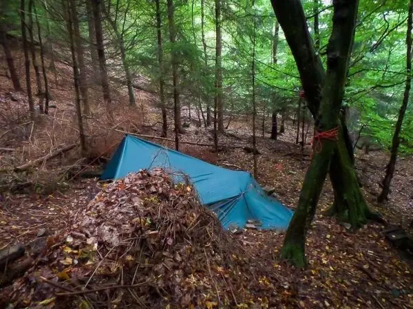 Tarp-Notunterkunft unter Bäumen, umgeben von Laub und Ästen