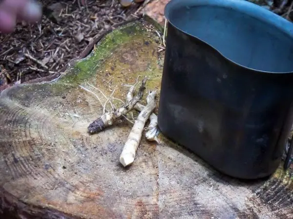 Wurzeln liegen auf einem Holzscheit neben einem Kochtopf