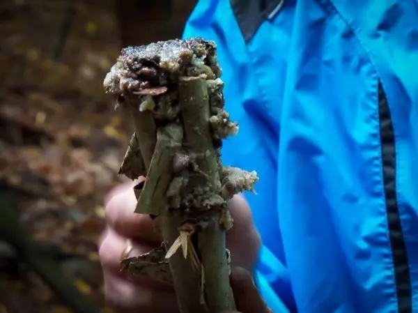 Zunder aus Rinde und Holzstücken in der Hand gehalten