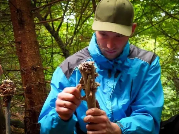Zwei Holzstücke werden mit einem Messer bearbeitet