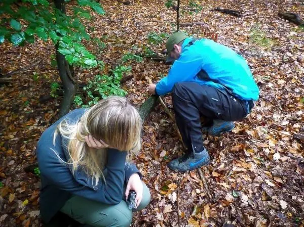 Zwei Personen arbeiten im Laubwald, eine sitzt und hält ein Gerät, die andere bearbeitet einen Stock