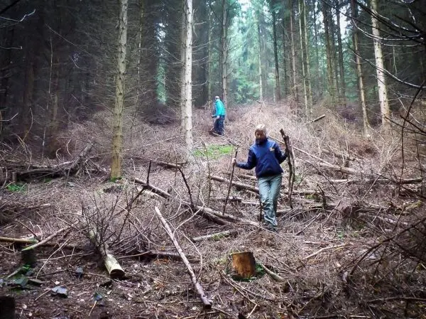Zwei Personen bewegen sich durch einen bewaldeten Bereich mit vielen Ästen und Holzstücken