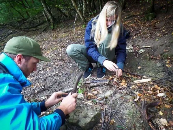 Zwei Personen sammeln Äste und Zweige am Boden