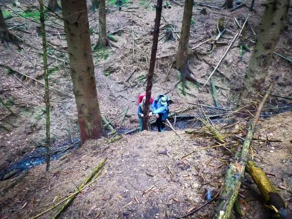 Zwei Personen stehen an einem Hang im Wald und halten einen Stock