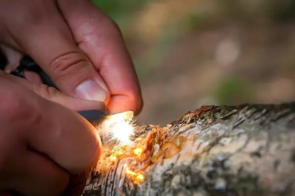 Feuerstahl erzeugt Funken auf Zunderstücken an einem Baumstamm
