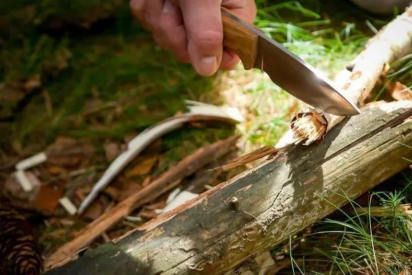 Hand schneidet mit einem Messer in einen Baumstamm beim Überlebenstraining