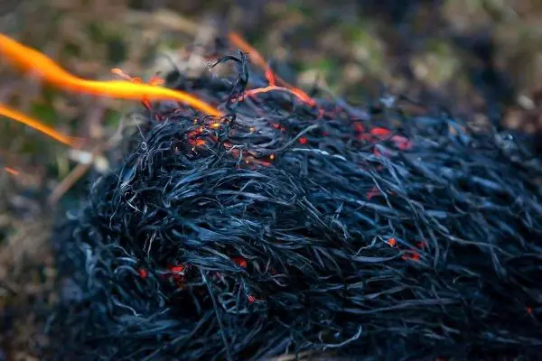 Kleine Flamme entzündet Zunder, glühende Reste sichtbar