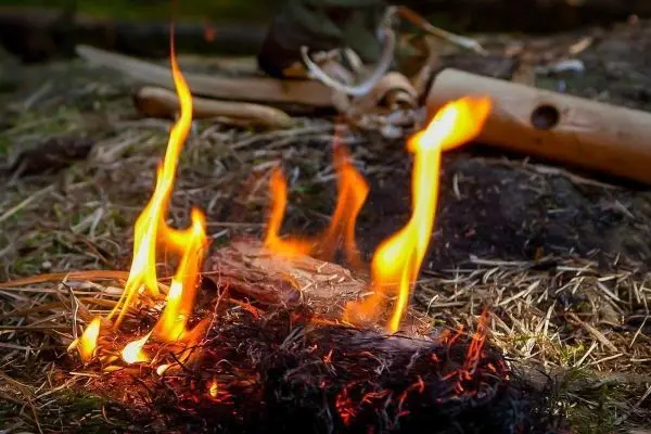 Kleine Flamme glimmt auf Zunder aus trockenem Gras und Holz