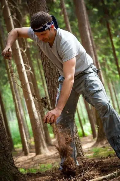 Mann gräbt mit den Händen im Waldboden und entfernt Erde und Wurzeln