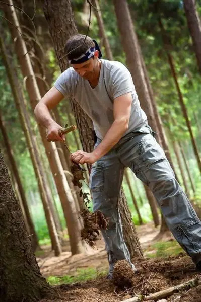 Mann gräbt mit einem Messer in der Erde zwischen Bäumen