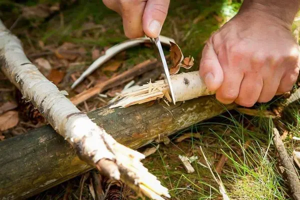 Messer schneidet Rinde von einem Holzstück zur Herstellung von Zunder