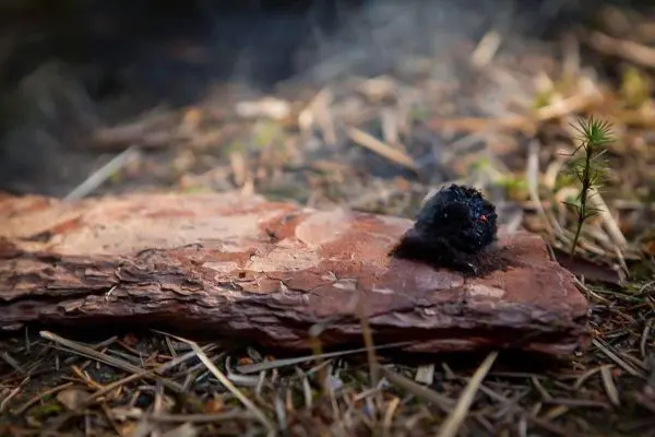 Zunder glimmt auf einer Holzplatte, Rauch steigt auf