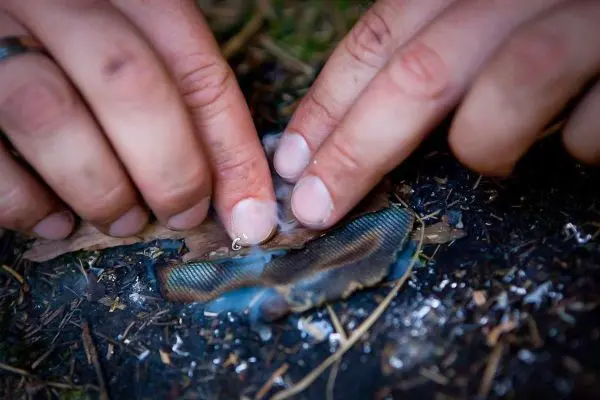 Zunder glimmt unter den Fingern, Rauch steigt auf