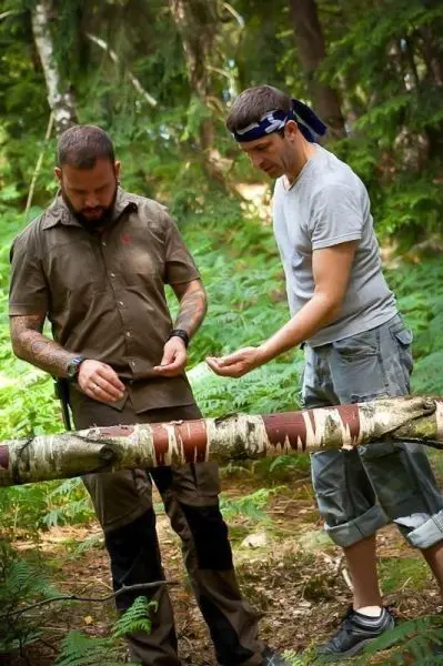 Zwei Personen untersuchen einen Baumstamm im Wald