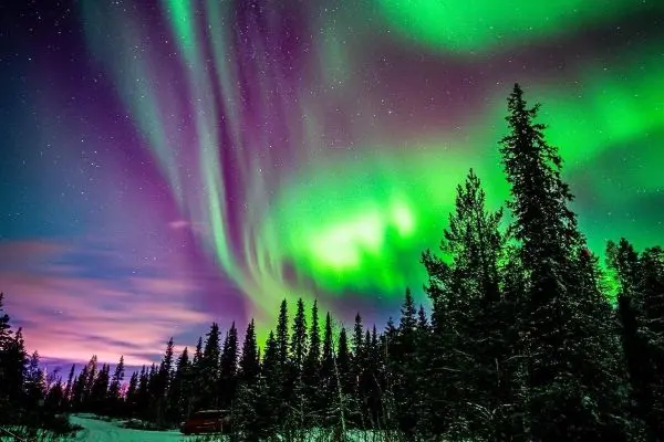 Bunte Polarlichter über einer bewaldeten Landschaft mit dunklem Himmel