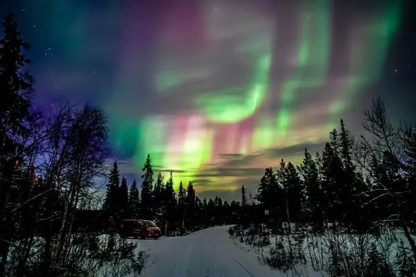 Bunte Polarlichter über einer verschneiten Landschaft mit Bäumen