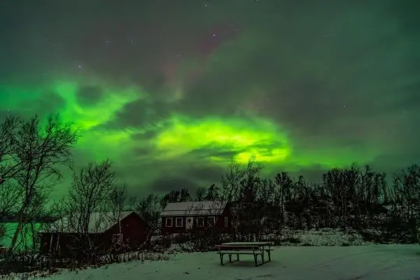 Grüne Aurora über schneebedeckter Landschaft mit Bäumen und einem roten Gebäude