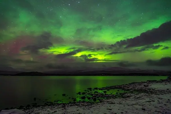 Grüne Lichter leuchten am Himmel über einem ruhigen Gewässer