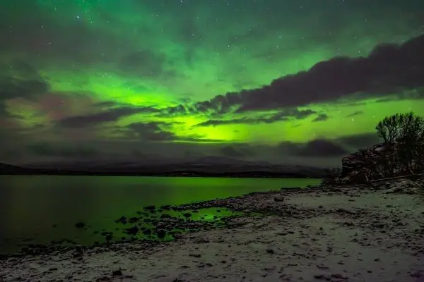 Grüne Polarlichter spiegeln sich im Wasser eines ruhigen Sees