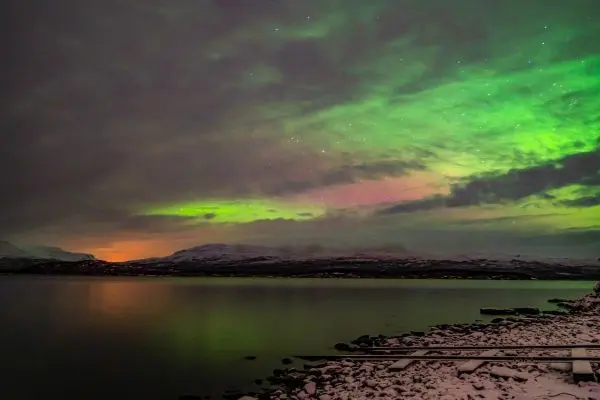 Grüne und rosa Lichter am Himmel über einem ruhigen Gewässer