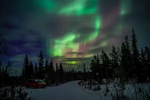 Grüne und violette Polarlichter leuchten über einer verschneiten Straße und Bäumen