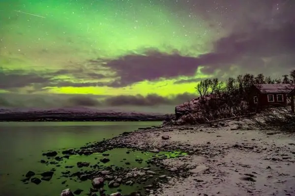Grünes Nordlicht leuchtet über einem ruhigen Gewässer und einer Küste