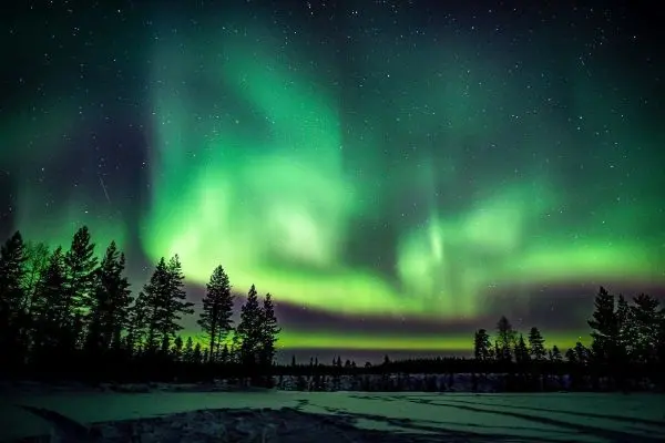 Nordlichter erleuchten den Nachthimmel über schneebedeckten Bäumen