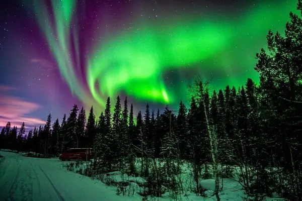 Nordlichter erleuchten den Nachthimmel über schneebedeckten Bäumen und einer Straße