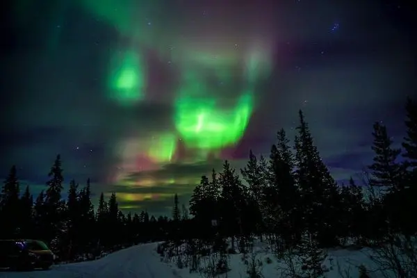 Nordlichter leuchten über einer verschneiten Landschaft mit Bäumen und einem Weg