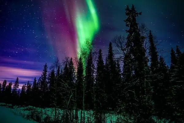 Nordlichter leuchten über schneebedeckten Bäumen in der Nacht