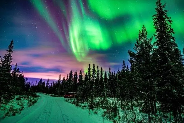 Schneebedeckte Straße zwischen Nadelbäumen unter grünem Polarlicht